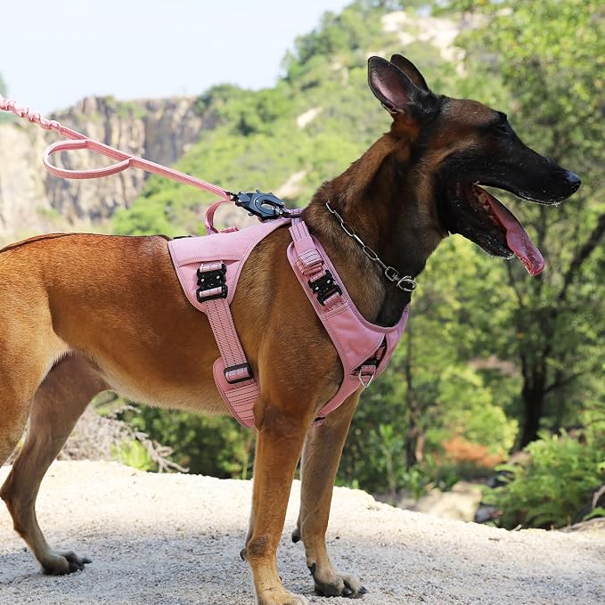 ICEFANG Quick-Moving Tactical Dog Harness for Large Dogs,No Pull Dog Vest | Control Handle,Reflective,Full Metal Buckles,Adjustable,Hook-and-Loop Panel,Soft Padded,Pink,Large
