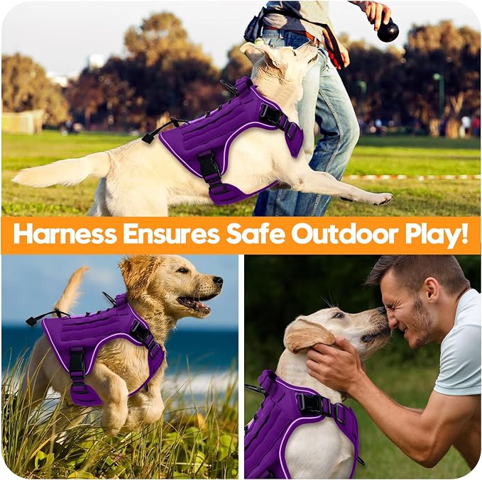 Heavy-Duty Tactical Dog Harness for Large Dogs, No Pull Adjustable Reflective Pet Vest with Molle System, K9 Military-Grade Control for Service Training, Outdoor & 10+ Breeds, Purple, XX-Large