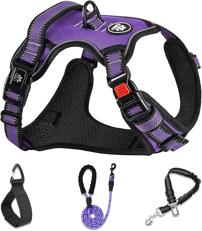 NESTROAD No Pull Dog Harness,Adjustable Oxford Dog Vest Harness with Leash,Reflective No-Choke Pet Harness with Easy Control Soft Handle for Large Dogs(Large,Purple)