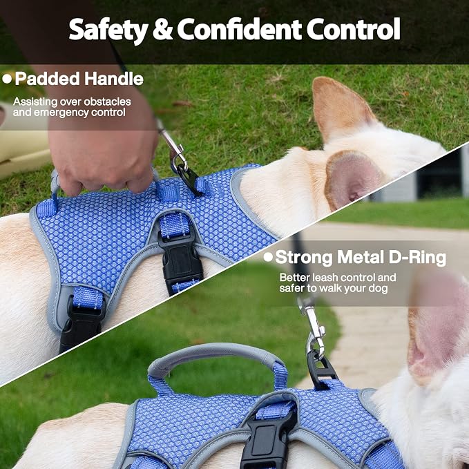 Escape Proof Dog Harness, Dachshund Harness, Reflective Dog Harness with Handle, Durable,Adjustable Vest for Small Medium Large Dogs Walking, Training, and Running Gear (Technicolor Blue,L)
