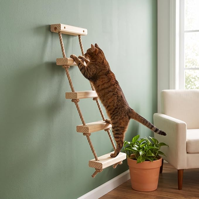 with Shelves for Climbing and Play, Hard Ladder