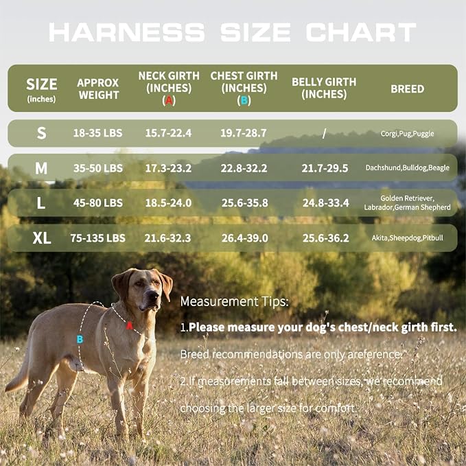 Dog Harness, Tactical No Pull for Small Sized Dog with Handle | Breathable Soft Padded, Adjustable, Reflective, Molle System, Heavy Duty, No Choke for Walking Training, Green Small