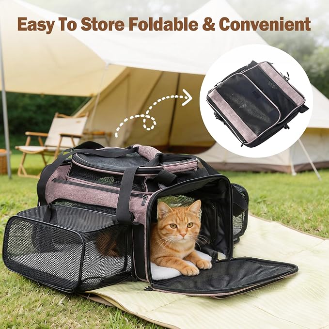 Cat Carrier Soft Sided, Expandable Pet Carrier for Medium Small Pets, Collapsible Travel Carrier with Hard Shell, 360° Panoramic Mesh, Washable Waterproof Pad | – 17.3×13.8×9.4 (Black)