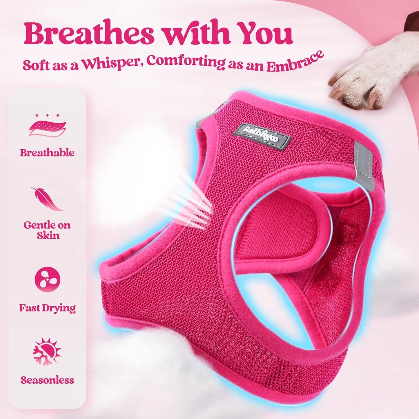 rabbitgoo Dog Harness Small Medium Sized and Leash Set, Step in Soft Light Puppy Vest, Breathable Mesh Pet Harness, Reflective for Safe Easy Walking, Rose Red L