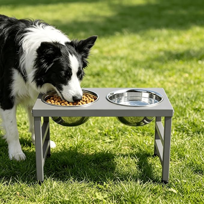 10'' Metal Raised Dog Bowl Stand, Elevated Dog Bowls with 2 Stainless Steel Bowls (1700ml/58oz) & Anti-Spill Mat for Medium/Large Breeds,Gray
