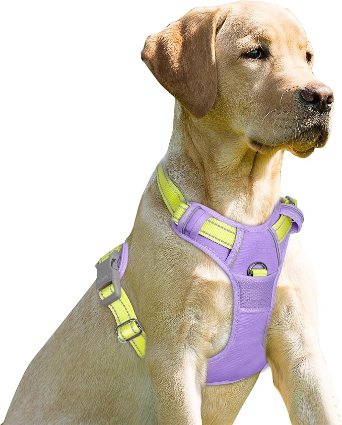 BARKBAY Dog Harness No Pull for Small Sized Dog Front Back Clips,Dog Vest | Soft Padded No Choke With Handle,Easy On&Off,Adjustable Reflective For Walking Training Running(Violet Purple & Sunlight,S)