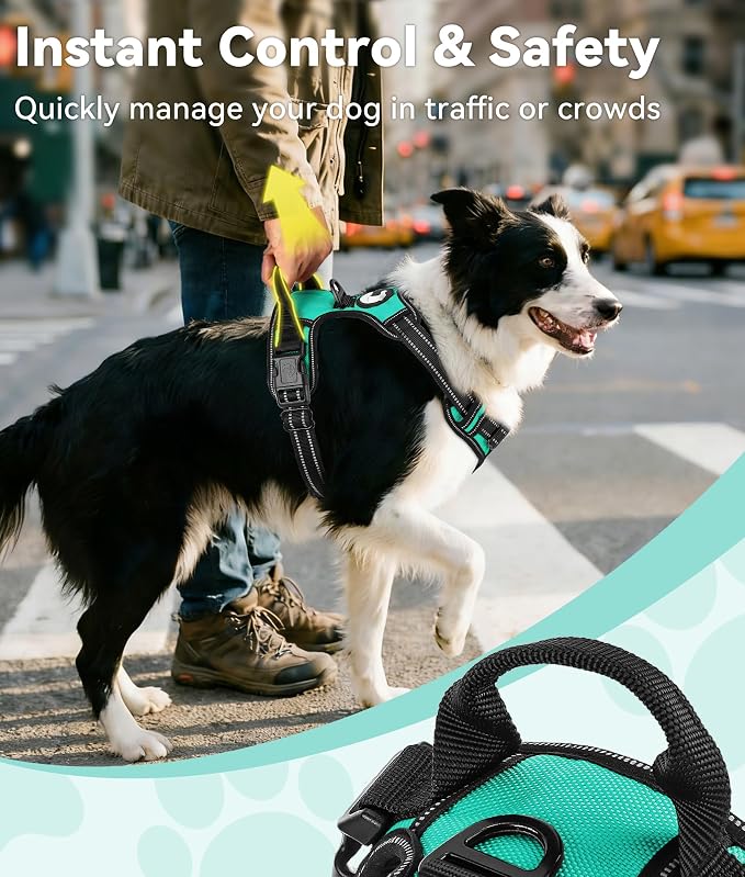 Joytale No Pull Dog Harness for Extra Large Dogs, Front Clip, Teal | Grab Handle for Instant Control, Padded & Adjustable Vest, Sturdy Metal D-Rings, for Safe Training & Daily Walking