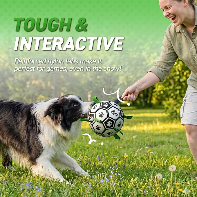 QDAN Dog Toys for Small Medium Puppy, Soccer Ball for Dogs with Straps, Dog Herding Balls, Birthday Toy Gifts, (Black Greem, 6 Inch)