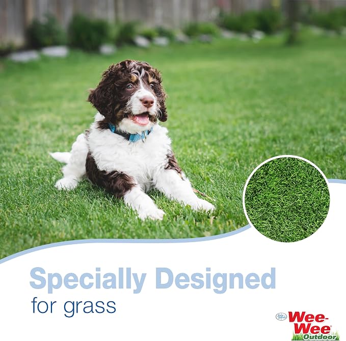 Four Paws Allen's Spring Action Dog Scooper For Hard Surfaces 3.75" x 4.5" x 15.5"
