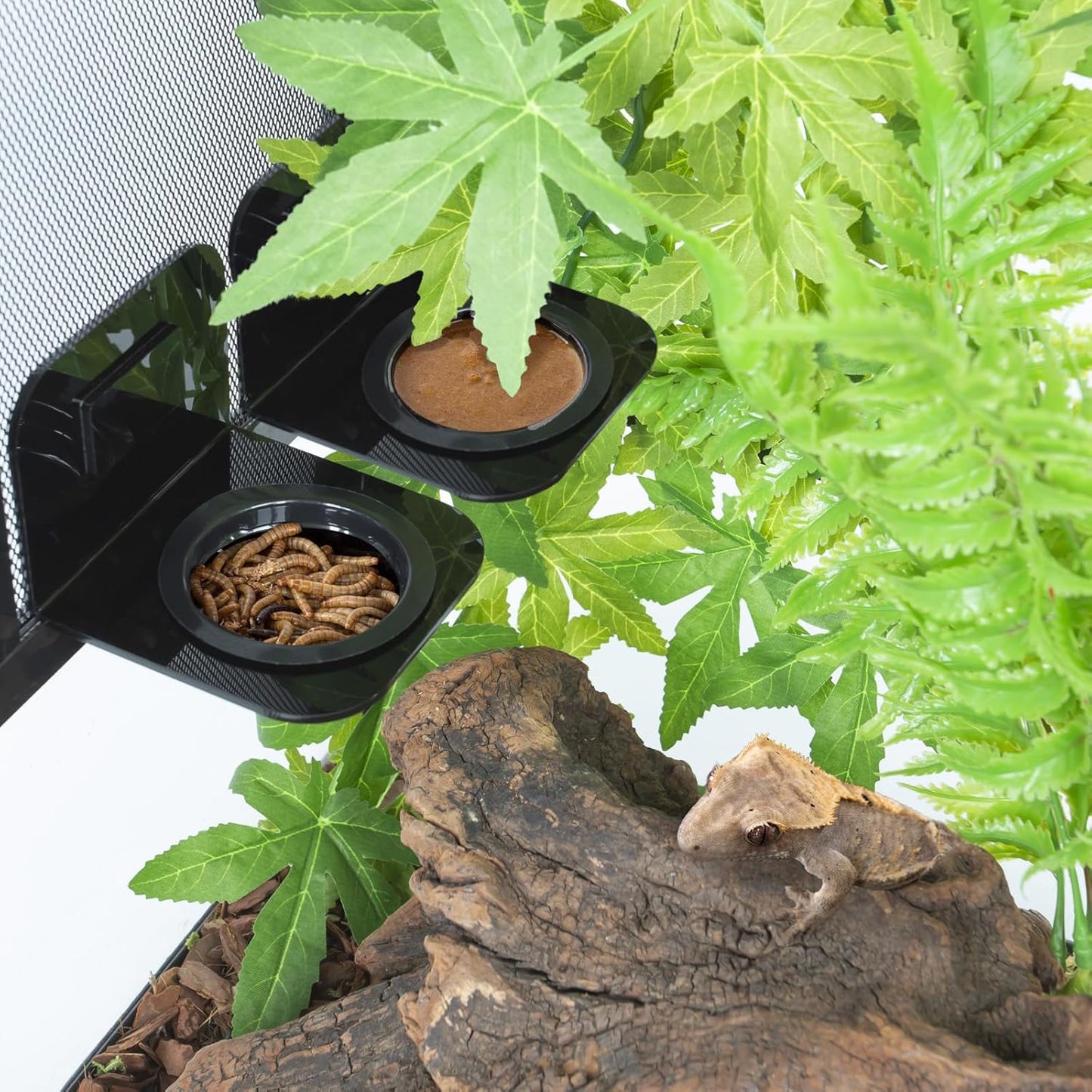 WACOOL Magnetic Reptile Ledge 2PACK, Acrylic Gecko Feeding Ledges with 6PCS Cups, Reptile Food Water Feeder Dish for Geckos Iguana Chameleon Pets