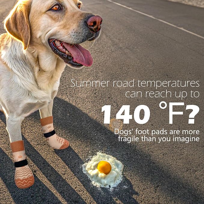 EXPAWLORER 6Pcs Anti Slip Dog Socks to Prevent Licking Paws, Dog Shoes for Hot Pavement Double Sides Dog Boots & Paw Protectors Booties for Hardwood Floors with Grip Small Medium Large Senior Dogs, XL