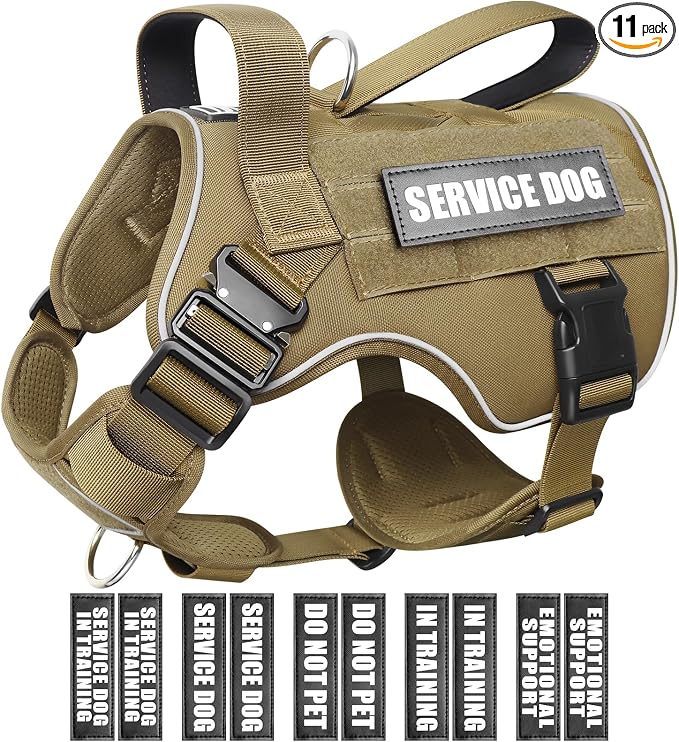 2X Metal Buckle Service Working MOLLE Dog Vest with 10 Pet Patches | Tactical Dog Harness for Medium Dog, No-pull Military Working Vest for Training Hunting Walking，2x D Rings for Leash Clip