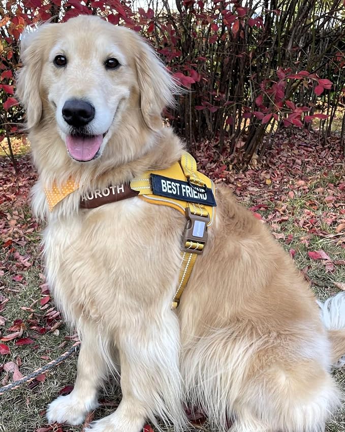 AUROTH Dog Harness for Large Dogs No Pull Tactical Harness and Leash Set | with Leash Clips, LED light clip, Breathable Mesh Padded No Choke, Easy Walking and Training, Turmeric, Large