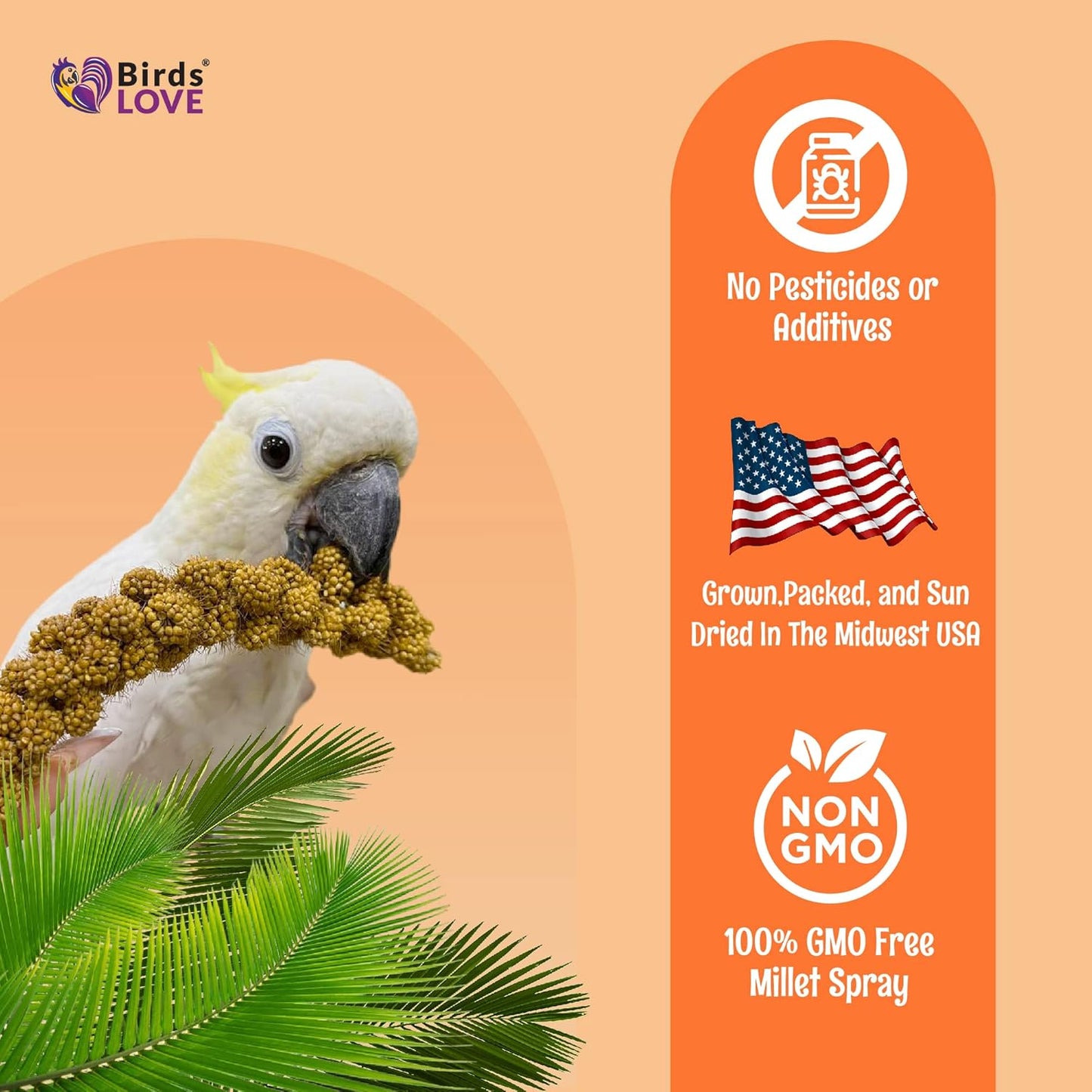 Birds LOVE Wholesome & Lovely Spray Millet Non-GMO for Birds Cockatiel Lovebird Parakeet Finch Canary All Parrots Healthy Treat - 2LBS