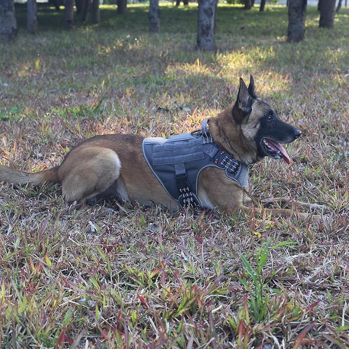 ICEFANG Tactical Dog Harness for Large Dogs,Reflective No Pull Dog Vest | with Control Handle,Adjustable,Front Hook,2 Leash Clips,Soft Padded,MOLLE Panel,Grey,Large