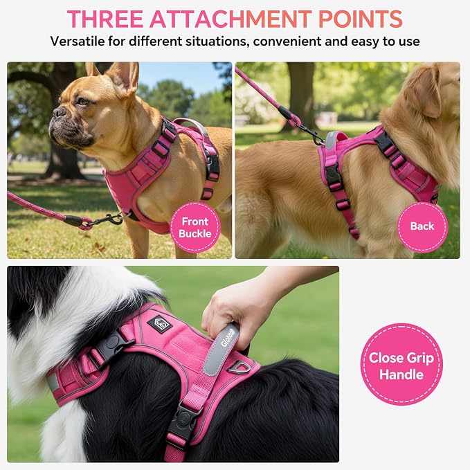 Heavy Duty Tactical Dog Harness for Small Dogs, No Pull Dog Harness with Handle & Front Clip, Reflective Soft Padded, Hook and Loop Panel, Dog Vest for Walking, Service Training, Hotpink