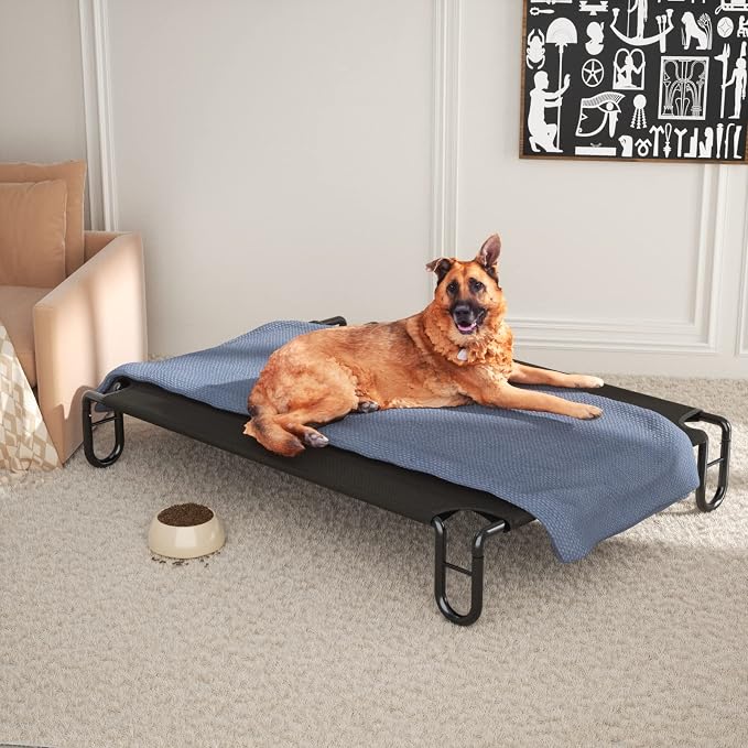 FAYDUDU Elevated Dog Bed Portable Raised Dog Beds with Washable Mesh Cooling Breathable Elevated Pet Bed Large for Indoor and Outdoor Use