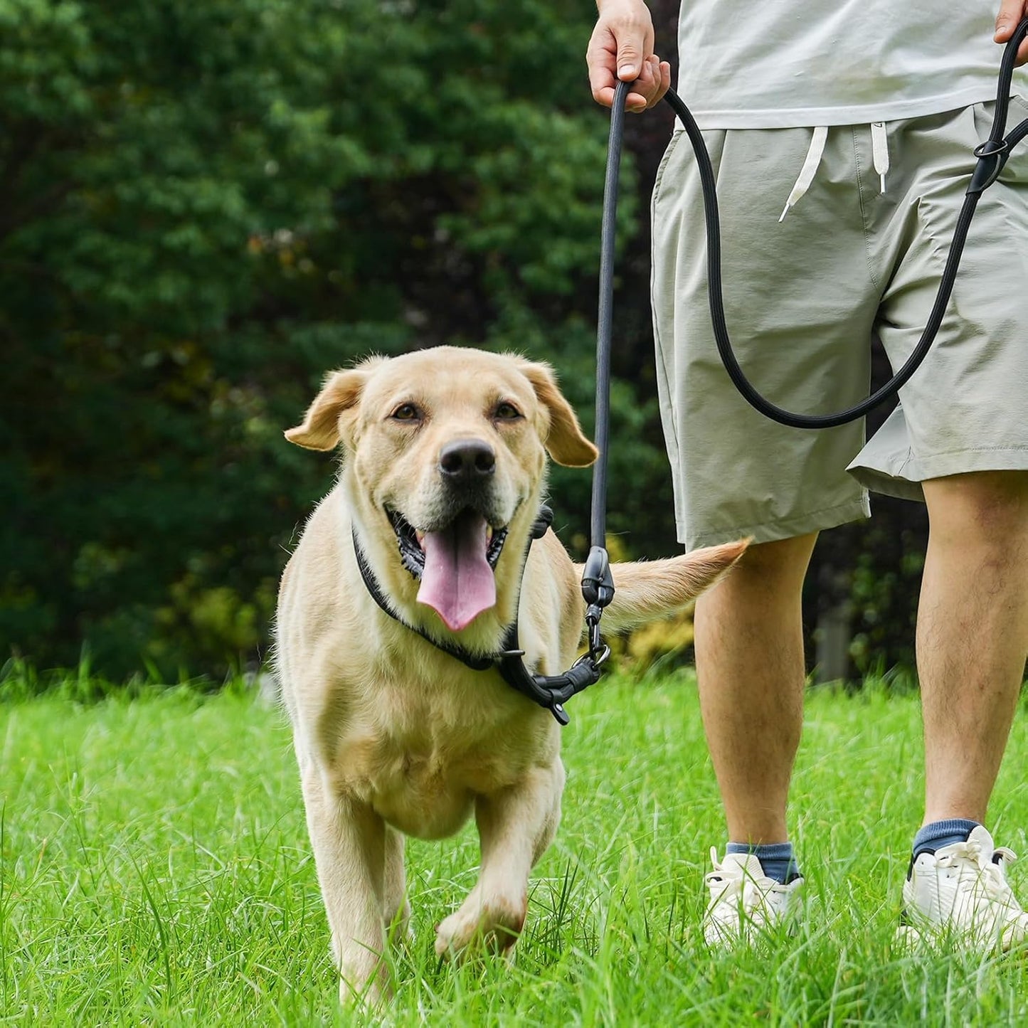 Rope Dog Leash, 6 Foot Heavy Duty Dog Leash with Aviation Aluminum Auto Locking Carabiner, Strong Nylon Pet Lead for Small, Medium, Large Dogs (Green, 6FT)
