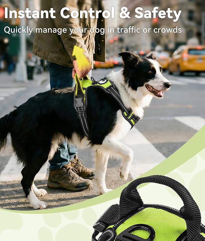 Joytale No Pull Dog Harness for Large Dogs, Front Clip, Green | Grab Handle for Instant Control, Padded & Adjustable Vest, Sturdy Metal D-Rings, for Safe Training & Daily Walking