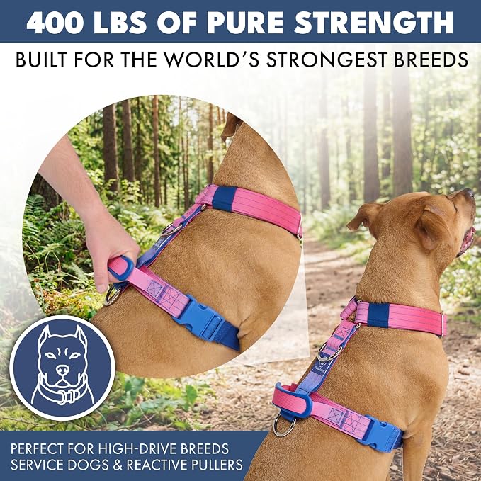 Spark Paws Comfort Control No Pull Dog Harness - Heavy Duty Front Clip | Safety Tested for Strong Breeds, w/ Metal Buckle & Top Handle – Padded Y-Straps Redirect Pulling. Solo or Matching Leash Set