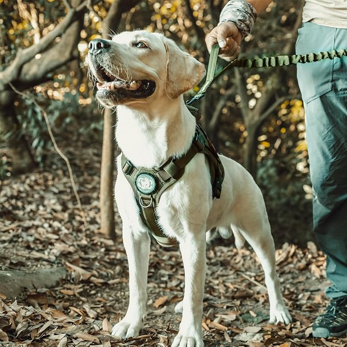 OneTigris Tactical Dog Harness with Handle No-Pull Adjustable for Small Dog | Military 1000D Pullable Nylon, Service Dog Vest with Hook & Loop Panels, Easy On & Off for Walking Hiking Training Green XXS