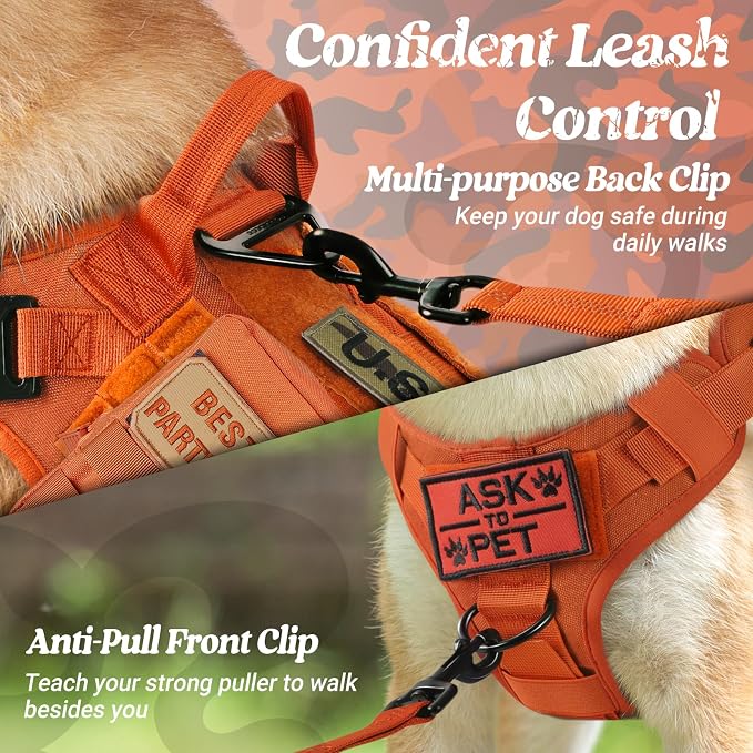 rabbitgoo Tactical Dog Harness for Medium, Heavy Duty Military No Pull Vest | Sturdy Metal Buckles, 5 Adjustments, Molle System, Powerful Pullers for Training, Hunting, Outdoor, Orange, Medium