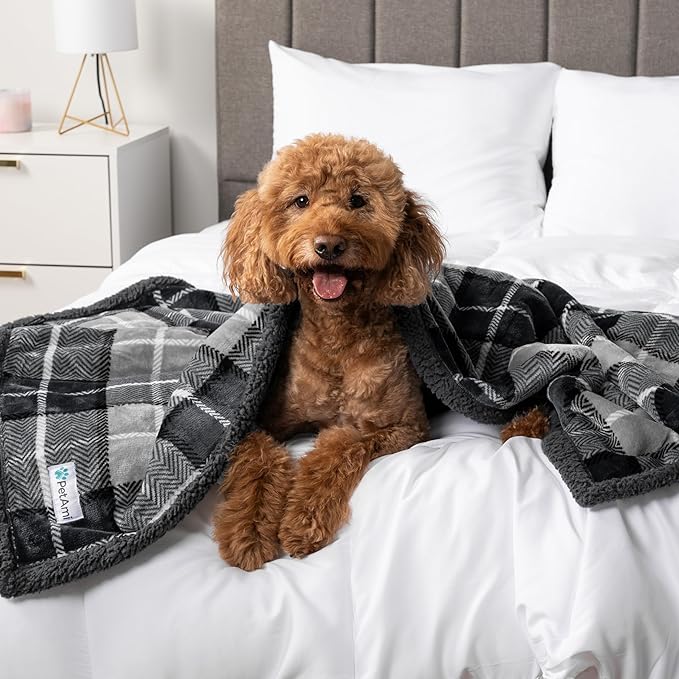 PetAmi Waterproof Dog Blanket for Medium Large Dog Puppy Cat Throw for Couch Cover Leakproof Protection, Sherpa Fleece, Reversible Soft Washable 60x40 Plaid Charcoal Gray