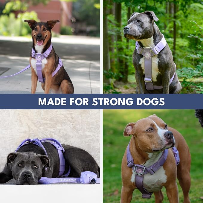 Spark Paws Comfort Control No Pull Dog Harness - Heavy Duty Front Clip | Safety Tested for Strong Breeds, w/ Metal Buckle & Top Handle – Padded Y-Straps Redirect Pulling. Solo or Matching Leash Set