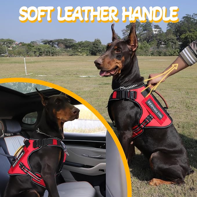 Tactical Dog Harness - HEYCAHVA Service Dog Vest Full Metal Buckles Dog Vest for Medium Large Dog Reflective No Pull Dog Harnesses Vest with Leather Handle, Hook & Loop for Hiking Training (Red, M)