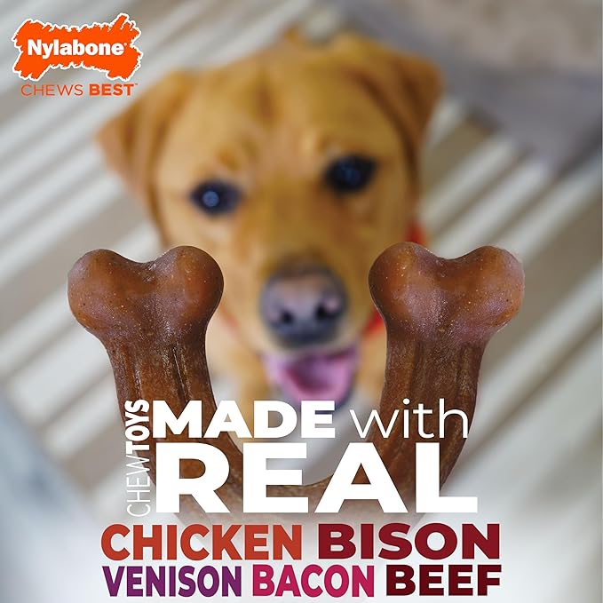 Nylabone Femur Bone Strong Chew Toy for Dogs Made with Real Bison & Venison, Durable Dog Chew Bones for Aggressive Chewers, Long-Lasting Flavor Keeps Dogs Busy, Large Dog Toys - Up to 50 lbs, 1 Count