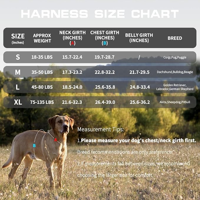 Dog Harness Medium Sized Dog, No Pull Dog Vest with Molle System | Tactical, Easy Control With Handle, Breathable Soft Padded, Adjustable, Reflective, No Choke for Walking, Black Medium