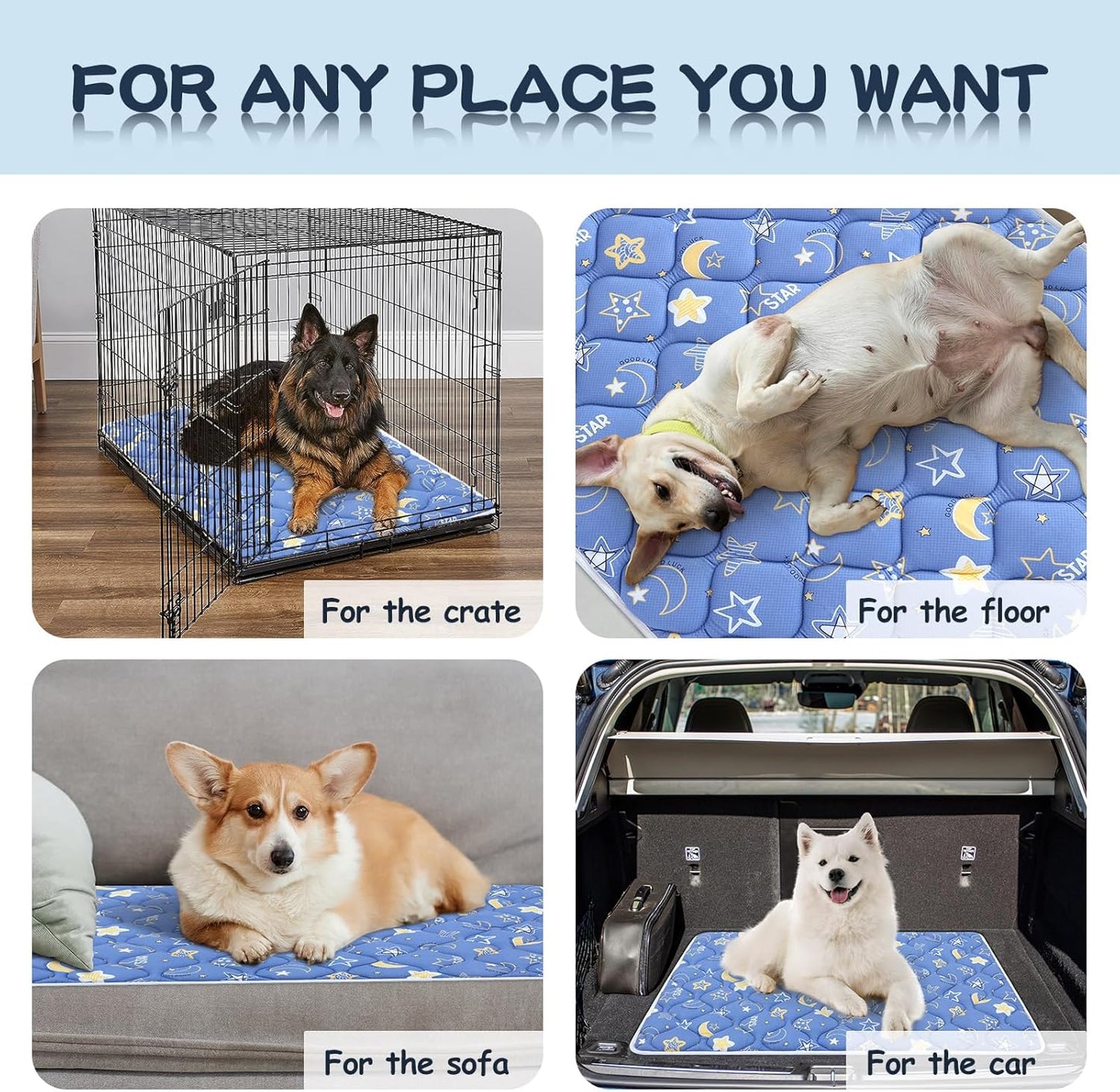 Bubble bear Dog Crate Mat - Ultra Soft, Washable & Anti-Slip Kennel Pad for Small/Medium/Large Dogs, Dark-Hued to Hide Stains (59"x35")