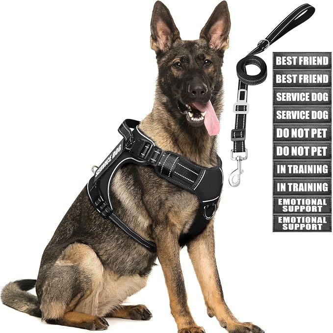 Tactical Dog Harness and Leash Set for Large Dogs+10 Dog Patches | Heavy Duty No Pull Service Dog Vest with Dog Seat Belt,Padded Handles,Adjustable Reflective for Training Hiking Black L