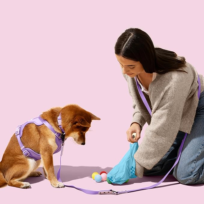 The Licker Store 13 in. x 9 in. Extra Thick Leak Proof Unscented Dog Poop Bags, Blue (300 Count, 20-Rolls)