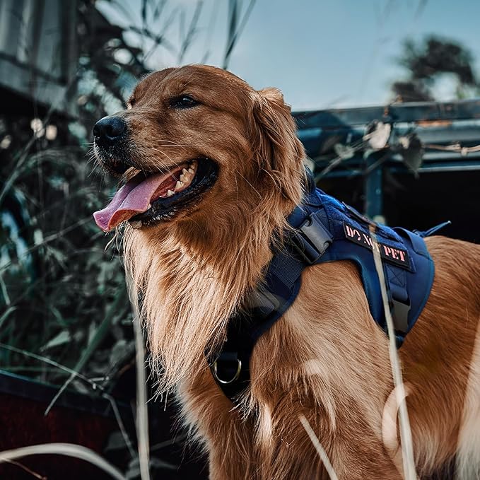 OneTigris Tactical Dog Harness with Handle No-Pull Adjustable for Small Dog | Military 1000D Pullable Nylon, Service Dog Vest with Hook & Loop Panels, Easy On & Off for Walking Hiking Training Blue S