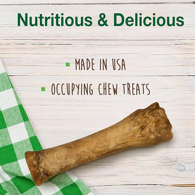 Nylabone Healthy Edibles Natural Dog Chews Long Lasting Bacon Flavor Treats for Dogs, X-Large/Souper (1 Count) (Pack of 2)