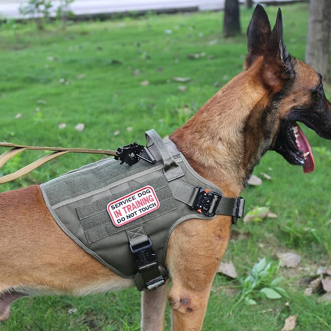 ICEFANG Tactical Dog Harness for Large Dogs,Reflective No Pull Dog Vest | with Control Handle,Adjustable,Front Hook,2 Leash Clips,Soft Padded,MOLLE Panel,Green,Large