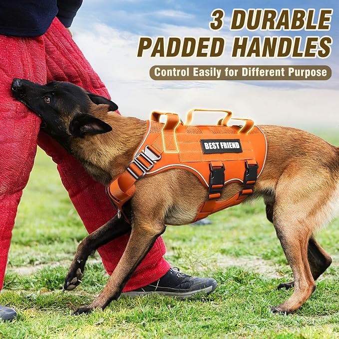 Air Mesh Tactical Dog Harness with Metal Buckles&MOLLE,Orange M | Breathable Adjustable No Pull Service Dog Vest with 3 Padded Handles,Military Dog Harness for Training Hiking Hunting Working