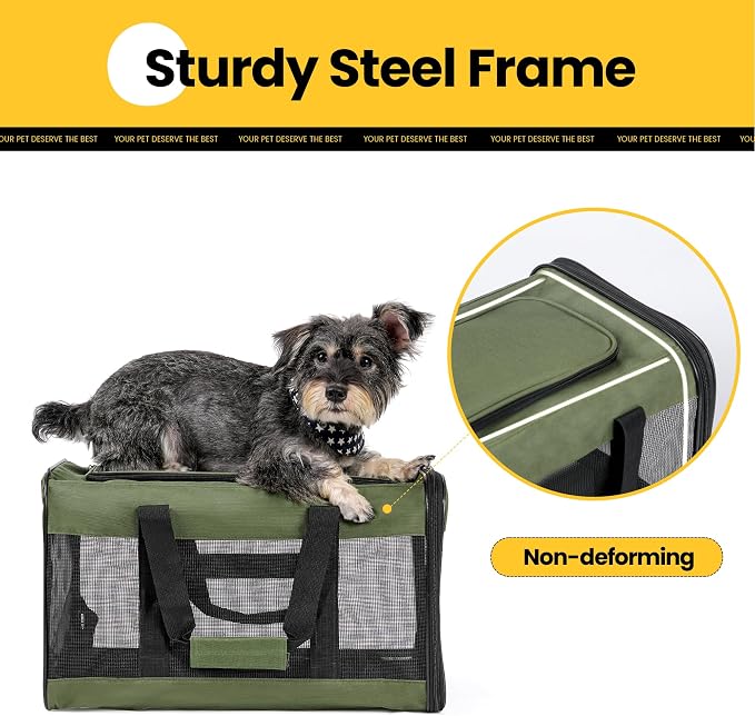 Conlun Cat Carrier Airline Approved, Soft-Sided Dog Carrier with Inner Safety Leash, Pet Transport Carrier for Small-Medium Cats Puppies up to 15 Lbs, Collapsible Travel Kitten Carrier Bag -Green M