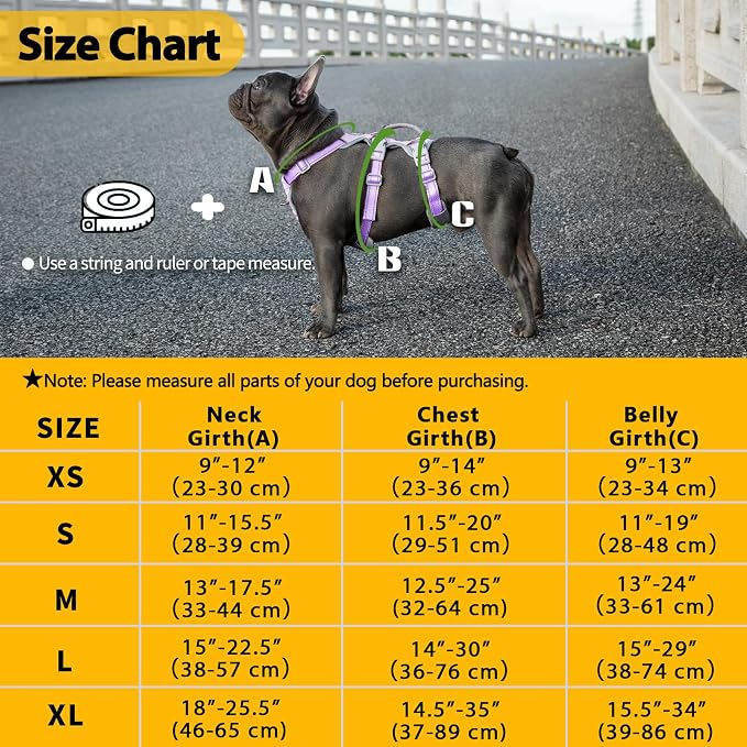 Escape Proof Dog Harness, No Pull Reflective Harness with Lift Handle,Adjustable Pet Vest with Front and Back Leash Clips for Small Medium Large Dogs Walking Hiking Training(Lavender Purple,L)