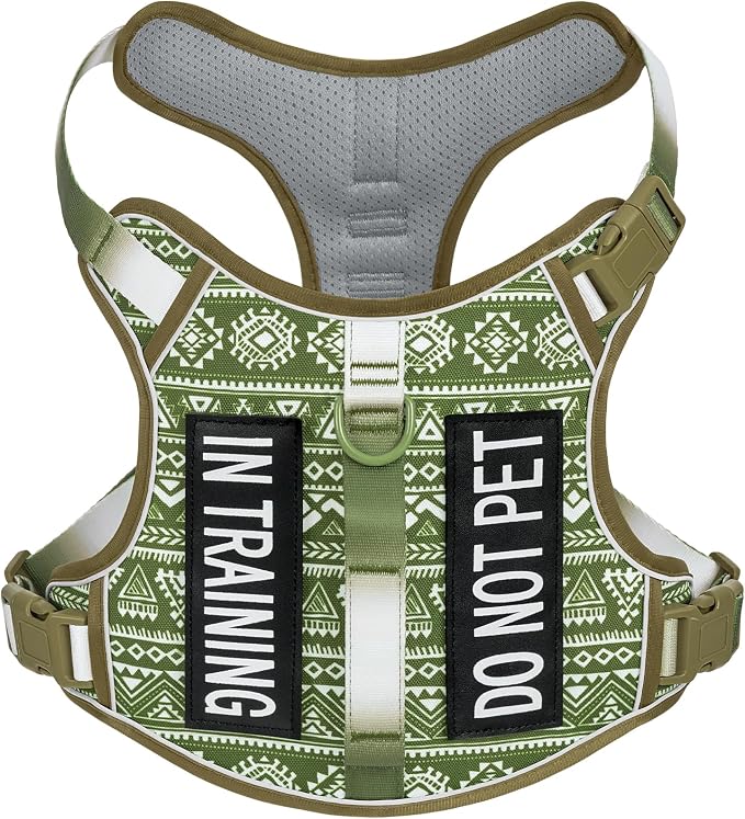 Light Dog Harness for Small Sized Dog Breeds, No Pull Pet Harness with 2 Leash Clips, Adjustable Soft Padded Dog Vest, Reflective Pet Oxford Vest, Puggle, Terriers, Beagle, Green Ethnic, Small