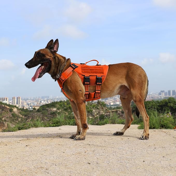 ICEFANG Tactical Mesh Dog Harness for Medium Dogs,Reflective Dog Molle Vest | Summer-Cooling, Control Handle,Adjustable,Front Hook,3 Leash Clips,Soft Padded,No Pull,Orange,Medium
