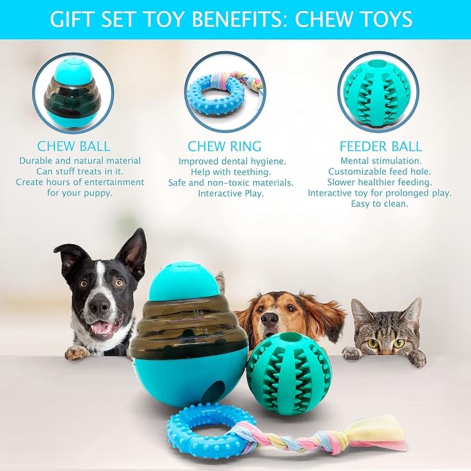 SoSoCute Blue Dog Gift Box - Puppy Chew Toy Set of 5 - Care Package with Dog Blanket, Squeaky Plush, Rubber Puppy Teether, Teething Ball, and Treat Ball for Small and Medium Dogs