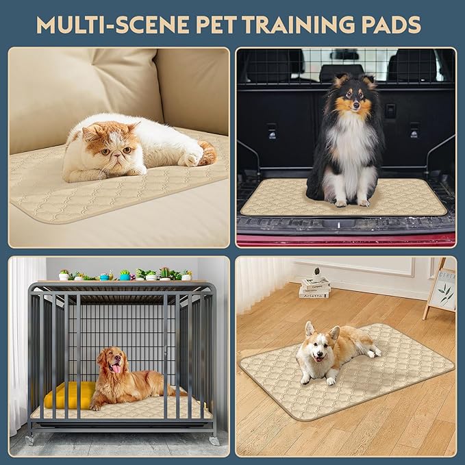 Washable Pee Pads for Dogs - 1 Pack Reusable Pee Pads，Waterproof Puppy Pads，Pet Training Pads，Super Absorbent with Dog Paw Shape Non-Slip Backing (Cream, 72" X 72" - 1 Pack)