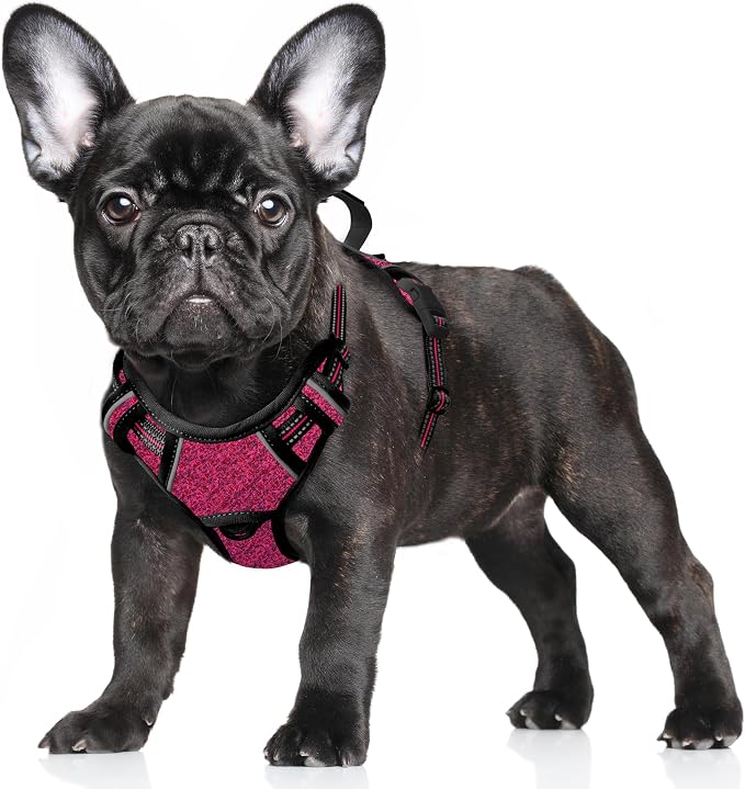 BARKBAY No Pull Dog Harness Large Reflective Dog Harness with Front Clip and Easy Control Handle for Walking Training Running with ID tag Pocket(Pink/Black,S)