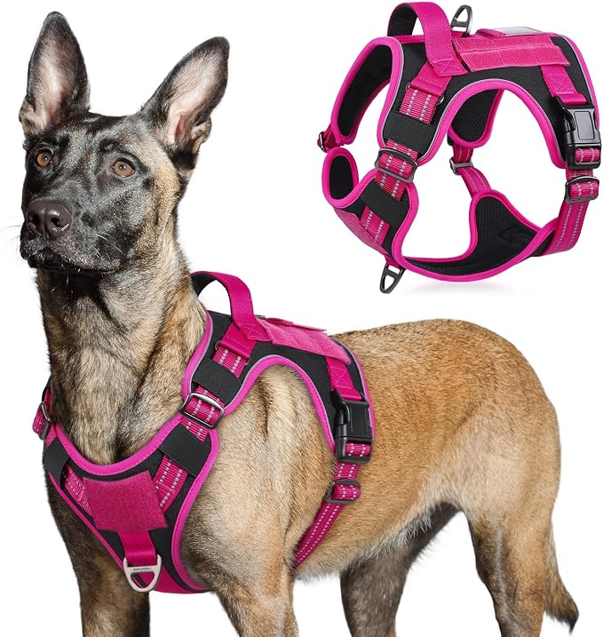 rabbitgoo Tactical Dog Harness for Large, No Pull Military Service Vest | Molle & Handle, Heavy Duty, Adjustable, Reflective Straps, Easy Control for Training Walking, Black & Rose Red, Large
