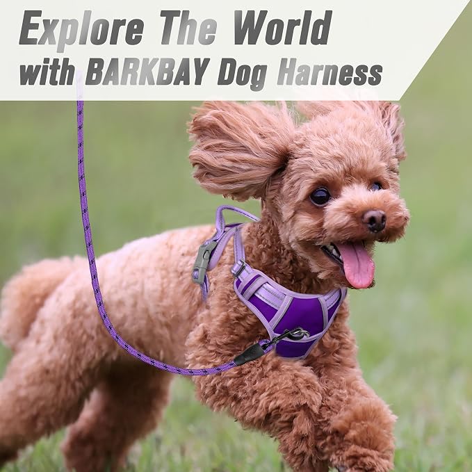 BARKBAY Dog Harness No Pull for Small Sized Dog Front Back Clips,Dog Vest | Soft Padded No Choke With Handle,Easy On&Off,Adjustable Reflective For Walking Training Running(Violet Purple & Purple,S)