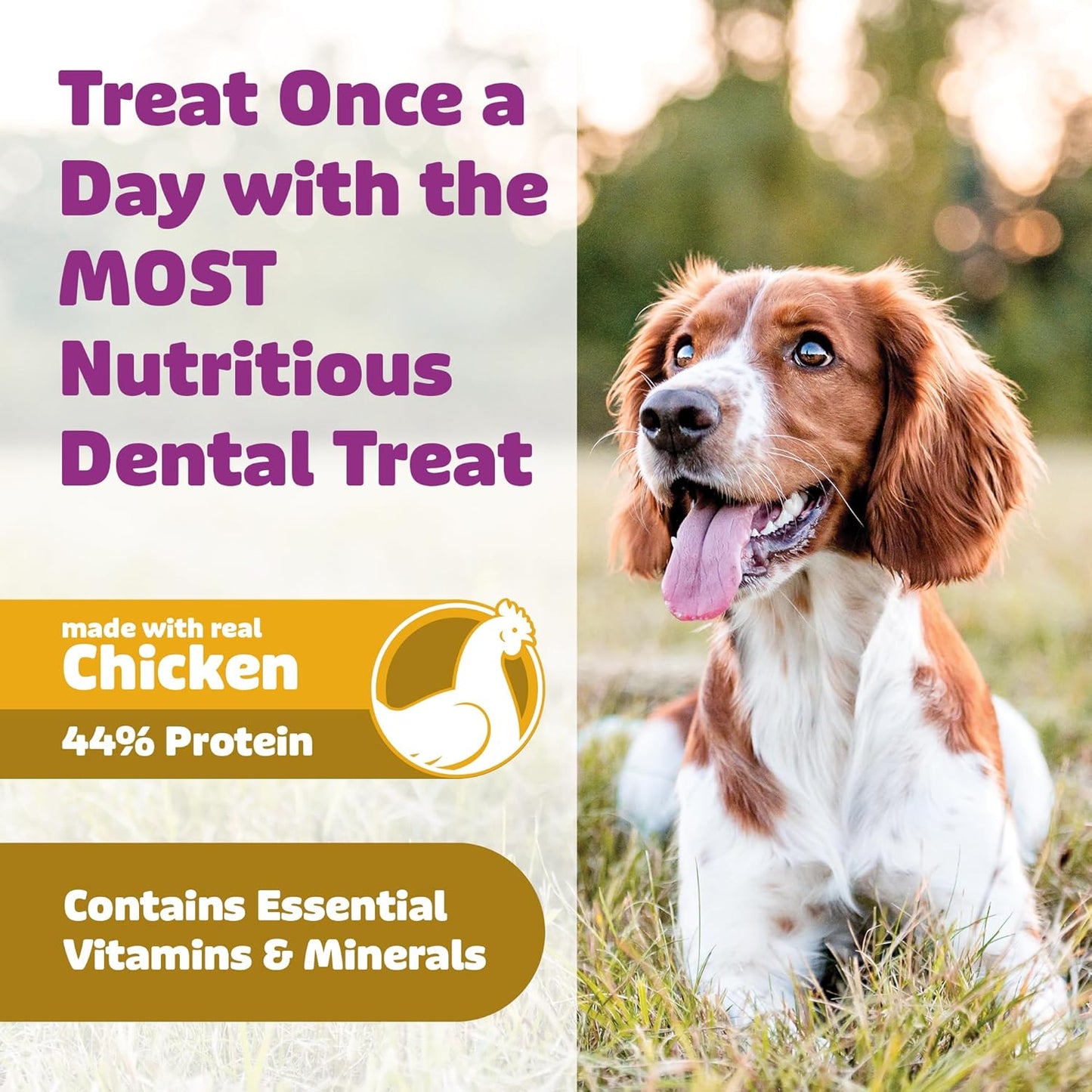Dog Dental Treats – Vet VOHC Approved, Removes Tartar & Cleans Teeth – Yummy High Protein Chicken Treat for Extra Large Dogs (Mini Pack, 4 Count)