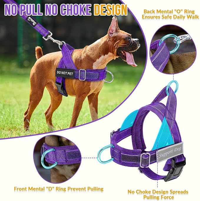 SlowTon No Pull Dog Harness with Front Clip - Heavy Duty, Soft Padded | Neck & Chest Adjustable, Tactical Pet Vest and Leash Set for Large Medium Sized Dogs, for Easy Walk & Training, Purple L