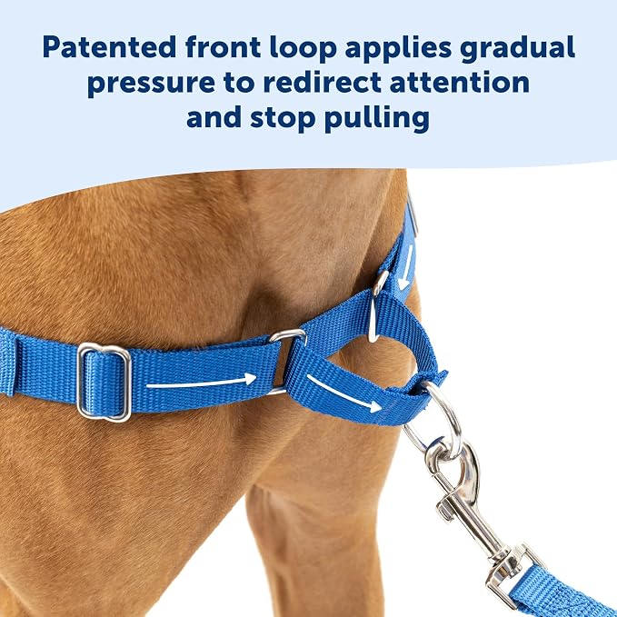 PetSafe Easy Walk No-Pull Dog Harness - Ultimate Harness to Help Stop Pulling-Pull-Free Walks-Take Control & Teach Better Leash Manners-Patented Martingale Loop Design-Gray,Medium/Large (Pack of 3)